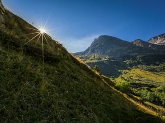 Sonnenbeleuchtete Bergwiese im Binntal mit Ausblick auf eine Berglandschaft im Hintergrund.