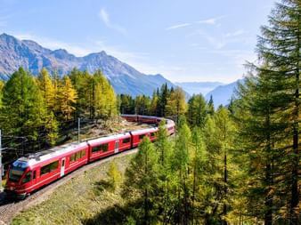 A red Rhaetian Railway train travelling through the forest. In the background, a light blue sky over the Engadin mountains.