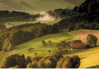 Vom Rüeggisberg hat man eine Aussicht ins Tal auf grüne Felder und Wälder.