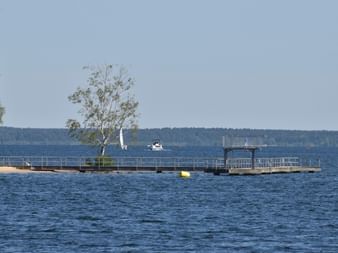 Ein romantischer Blick auf den See. Ein kleiner Baum steht auf dem Steg zum See. Aktivferien mit Eurotrek.