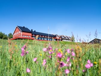 Rote Holzgebäude auf einem Hügel mit Wildblumen im Vordergrund unter blauem Himmel in Kamben, Norwegen.