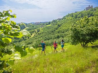 Trois randonneurs avec sacs à dos marchent dans les noisetiers verts du Piémont avec des collines et un château sur la colline en arrière-plan.