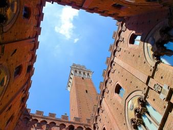 Die Dächer von Siena und dazwischen ragt der Torre del Mangia hervor.