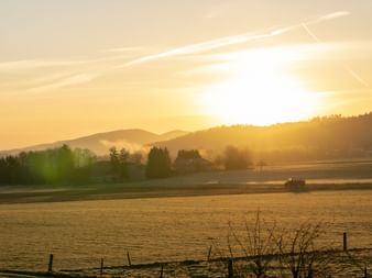 Goldener Sonnenaufgang über nebligen Feldern bei Courtedoux im Jura Ajoie. Hügel und Bäume zeichnen sich gegen die helle Morgensonne ab.