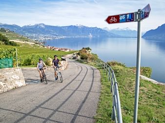 Deux cyclistes sur route pavée avec panneau cyclable près de Rivaz, vue sur lac Léman et Alpes suisses, vignobles au premier plan.