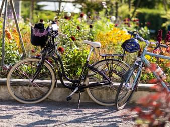 Zwei Fahrräder mit Körben neben einer Steinmauer in Stockholm, umgeben von bunten Gartenblumen und Pflanzen im hellen Sonnenlicht.