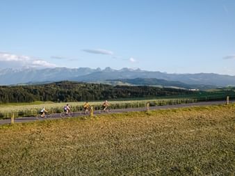 Gruppe von Radfahrern auf einer asphaltierten Straße durch goldene Felder im Naturpark Gantrisch, Region Bern. Berge am Horizont unter blauem Himmel.
