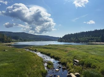 Schluchsee mit grüner Wiese und kleinem Bach im Vordergrund. Bewaldete Hügel umgeben den See unter blauem Himmel mit weißen Wolken.