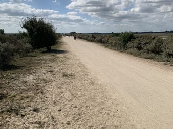 Sicht auf den Fahrradweg mit sandigem Untergrund.