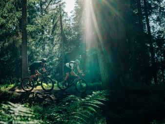 Two gravel bikers riding through a dense forest in Graubünden with sunlight streaming through tall trees and ferns in the foreground.