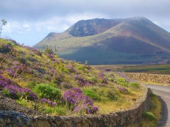 Wanderweg mit Blumen auf Lanzarote