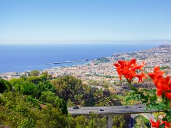 Panoramablick auf Madeiras Küste mit roten Blüten im Vordergrund, zeigt Küstenstadt, Hafen und blaues Meer unter klarem Himmel.