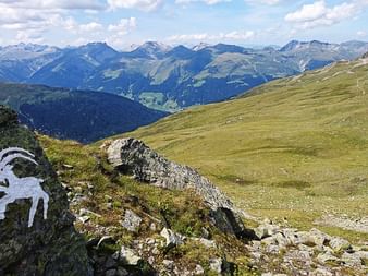 Stein mit aufgedrucktem Steinbock. Wunderschöner Ausblick auf die Bergkette im Kanton Graubünden