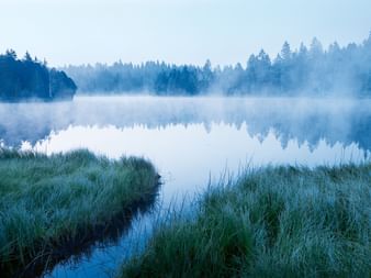 Brouillard au-dessus d'un lac enveloppé de forêts de sapins. Un jeu de couleurs dans de nombreuses nuances de bleu.