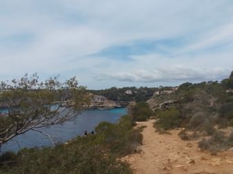 Steinweg führt zu einer Bucht umgeben von Sträuchern in Mallorca.