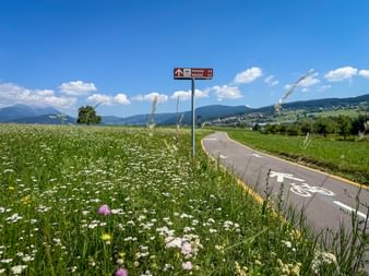 Asphaltierter Radweg mit Fahrradsymbol durch grüne Wiesen mit Wildblumen. Braunes Schild zeigt Richtung nach Fondo mit Bergen im Hintergrund.