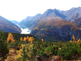 Sich schlängelnder Fluss durch Bergtal im Schweizerischen Nationalpark mit herbstlichen Lärchen und schneebedeckten Gipfeln.