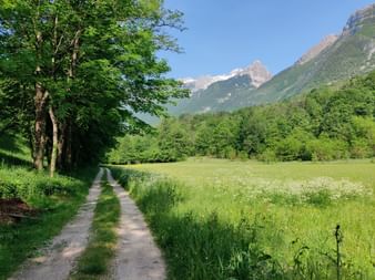 Wanderweg entlang von Wiesen, Wald und Bergen.