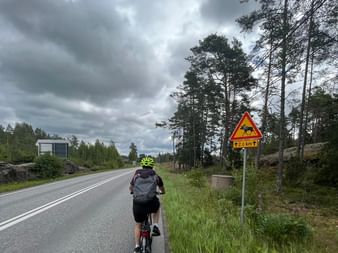 Ein Fahrradfahrer fährt auf einer asphaltierten Strasse durch finnische Wälder. Ein Warnschild, dass es Elche entlang der Strecke gibt ist sichtbar.