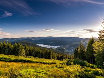 Panoramic view from Hochfirst over the Black Forest with Lake Titisee and Titisee-Neustadt. Forested mountains and meadows under blue sky.
