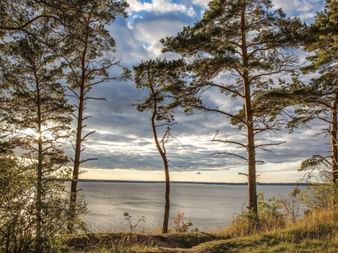 Paysage côtier à Usedom