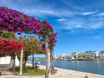 Farbenvielfalt in Tavira