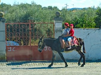 Zwei Kinder reiten mit Esel an einem Tor vorbei