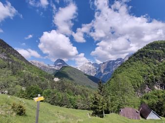 Ausblick über Wiesen, Wälder und schneebedeckte Bergen in Slowenien.