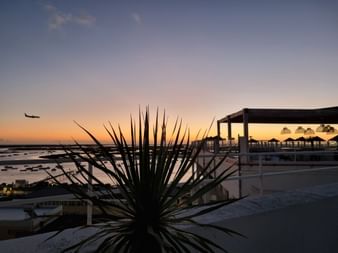 Sonnenuntergang von der Rooftop-Bar des Hotel AP Eva Senses in Faro, Algarve. Stachelige Pflanze im Vordergrund, Küste und Flugzeug am Himmel.