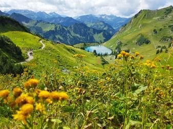Fleurs sauvages jaunes au premier plan avec le lac Seealpsee niché dans une vallée alpine verte. Randonneurs visibles sur les sentiers.