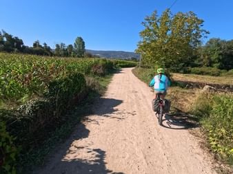 Radfahrer in blauer Jacke und gelbem Helm auf sandigem Weg zwischen grünen Feldern unter blauem Himmel bei Ponte de Lima.