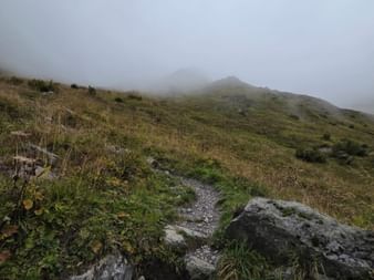 Steiniger Wanderweg, der durch alpine Wiesen bergauf führt bei dichtem Nebel. Berge sind im nebligen Hintergrund kaum sichtbar.