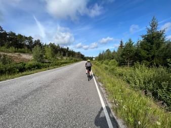 Ein Fahrradfahrer fährt auf einer asphaltierten Stasse umgeben von Bäumen