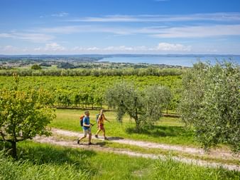 Rund um den Gardasee