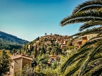 Vue panoramique du village de Deia à Majorque avec des maisons en pierre traditionnelles construites sur des collines en terrasses, entourées de palmiers et de montagnes.