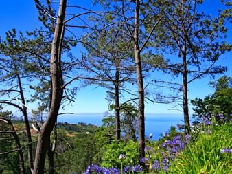 Imposanter Panoramablick auf die Küste Madeiras