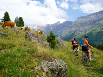 Bikerinnen in den Waadtländer Alpen
