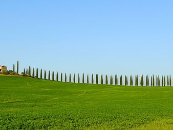 Eine Strasse mit typischen Bäumen der Toskana in der Ferne.