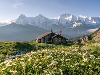 Berner Oberland Lobhornhütte