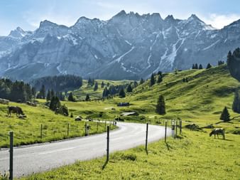 Eine Strasse führt durch die ruhige Berglandschaft in der Ostschweiz.