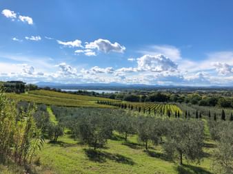 Toskana Trasimeno See