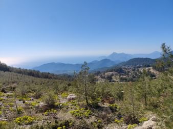 Grüne Landschaft im Vordergrund und Meer mit Bergen und Inseln im Hintergrund