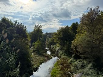 Schmaler Fluss schlängelt sich durch dichte grüne Vegetation in Nordkatalonien. Bäume säumen beide Ufer unter teilweise bewölktem Himmel.