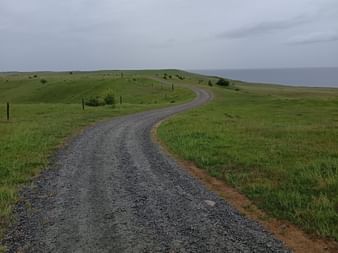 Gewundener Schotterweg durch grüne Küstenwiesen auf dem Österlenleden zwischen Ystad und Kåseberga unter bewölktem Himmel mit Meer in der Ferne.