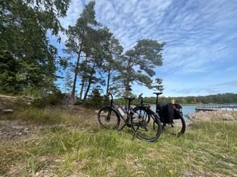 Zwei parkierte Fahrräder stehen auf einer grünen Wiese. Im Hintergrund befindet sich ein See und der Himmel mit feinen Wolken ist ersichtlich.