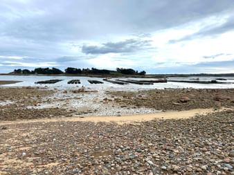 Austernfarm bei Ebbe in der Bretagne mit rechteckigen Zuchtbecken im flachen Wasser, Kiesstrand im Vordergrund, bewaldete Küste und bewölkter Himmel.
