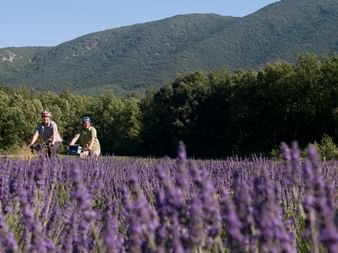 Fahrradurlaub Provence