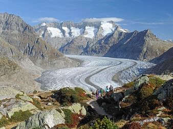 View of the Aletsch Glacier and the glacier tongue