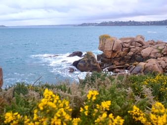 Rosa Granitfelsen an der Bretagne-Küste bei Ploumanach mit gelben Wildblumen im Vordergrund und türkisfarbenem Meer unter bewölktem Himmel.