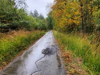 Straße nach dem Regen und mit herbstlicher Atmosphäre.